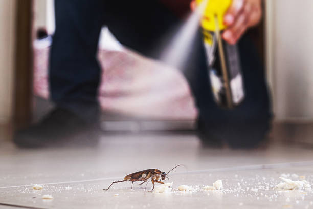 Best Flea Control Services  in Greenwood, DE